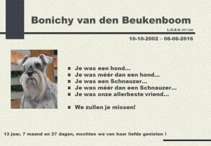 Bonichy van den Beukenboom Nl