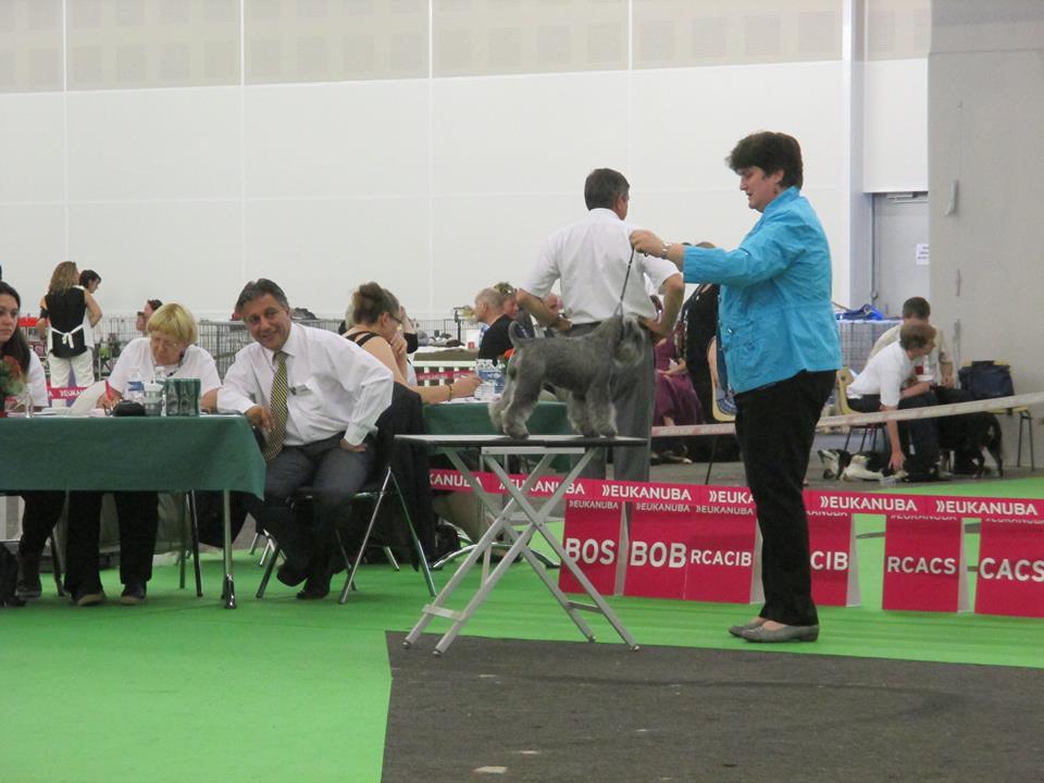 11391175_858921280849683_681662715545533210_n