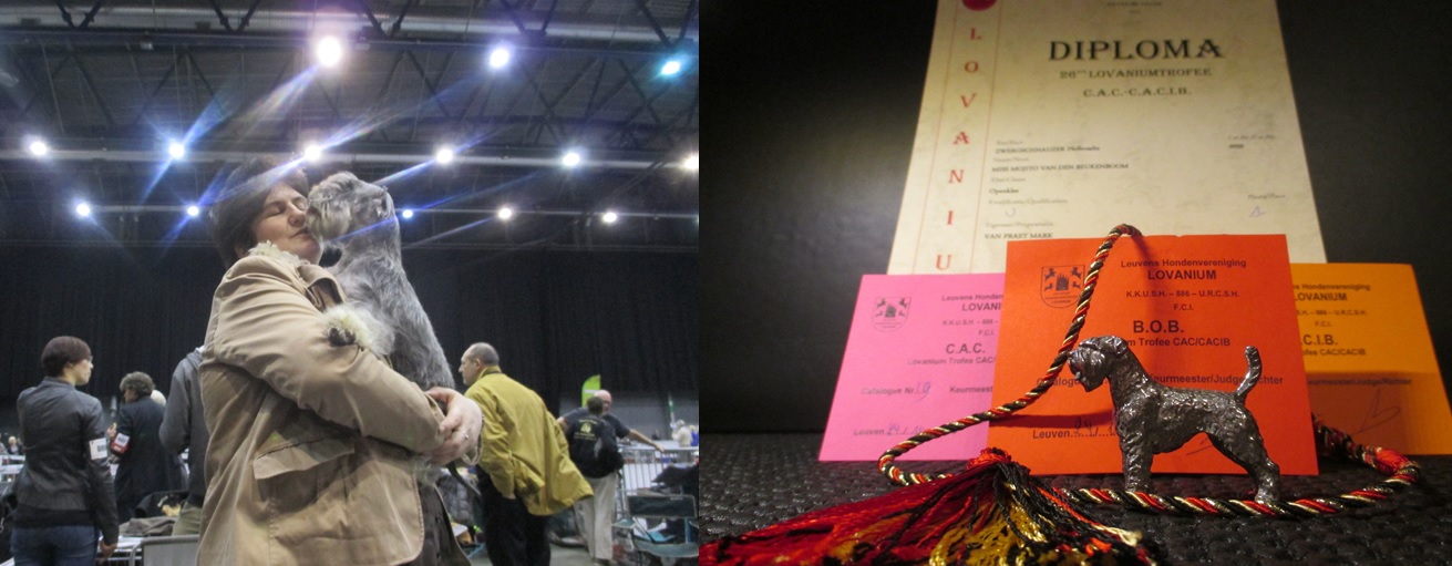 Leuven 2015 Miss Belgisch Kapoen - Intern